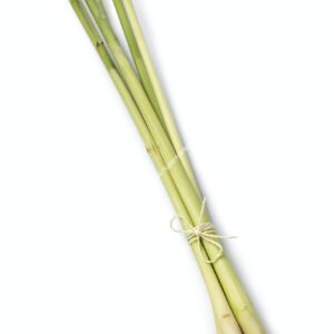 Bunch fresh raw lemongrass