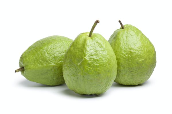 Whole fresh guava fruit
