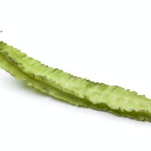 Whole single fresh winged bean